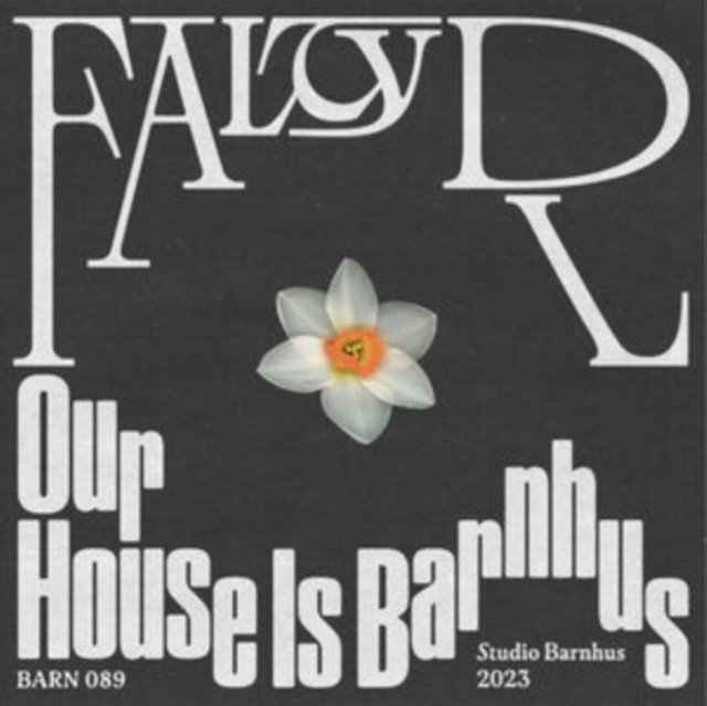 Our House Is Barnhus, Vinyl / 12" Single Vinyl
