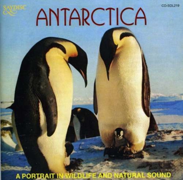 Portrait in Wildlife and Natural Sound, A - Antarctica, CD / Album Cd