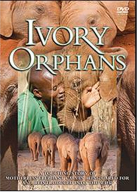 Ivory Orphans, DVD  DVD