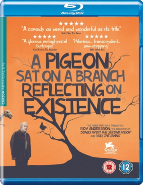 A   Pigeon Sat On a Branch Reflecting On Existence, Blu-ray BluRay