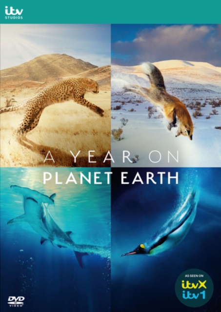 A   Year On Planet Earth, DVD DVD