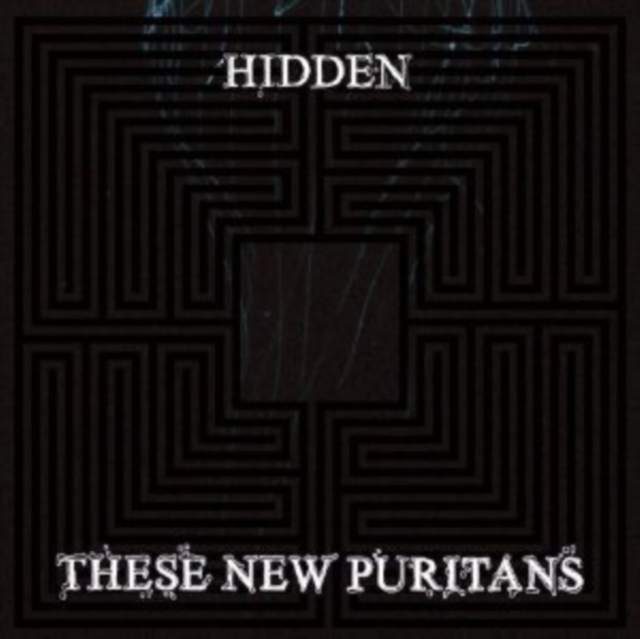 Hidden, Vinyl / 12" Album Vinyl