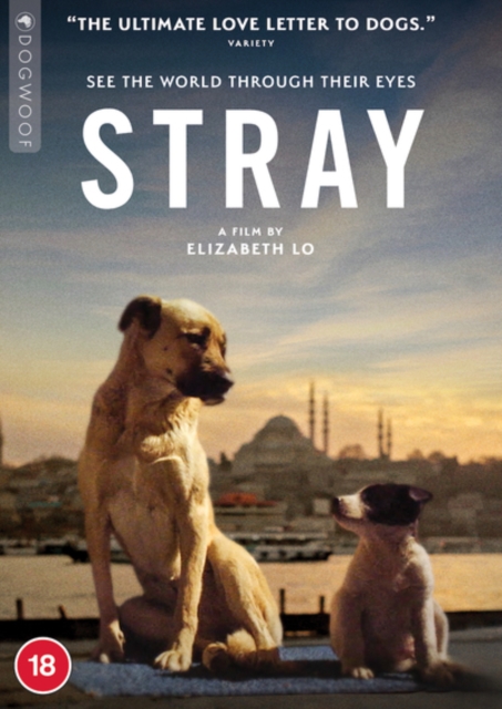 Stray, DVD DVD