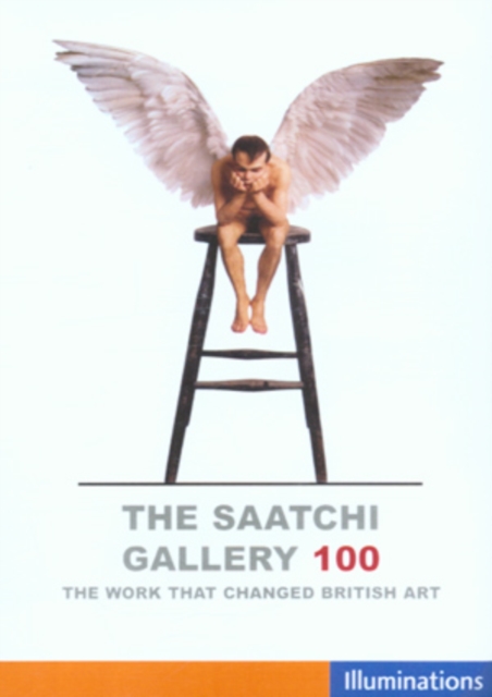 The Saatchi Gallery 100, DVD DVD