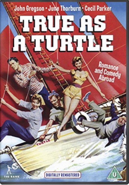 True As a Turtle, DVD DVD