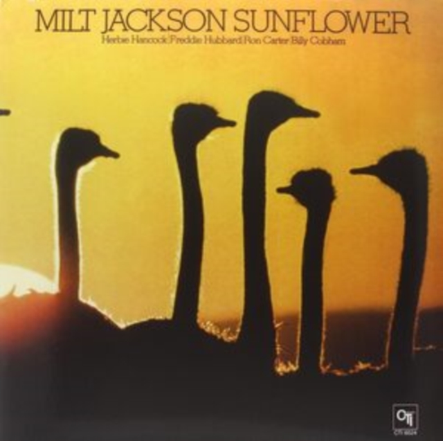 Sunflower, Vinyl / 12" Album Vinyl