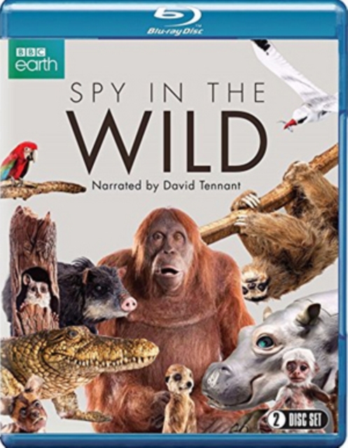 Spy in the Wild, Blu-ray BluRay