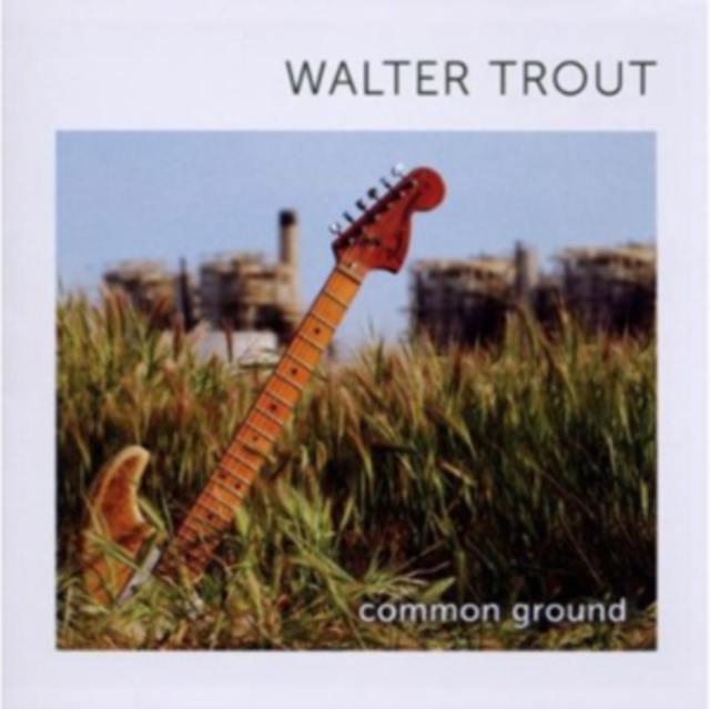 Common Ground, CD / Album Cd