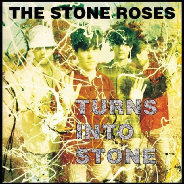 Turns Into Stone, Vinyl / 12" Album Vinyl