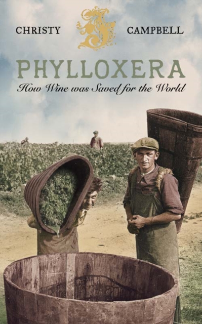 Phylloxera : How Wine Was Saved for the World, Paperback / softback Book