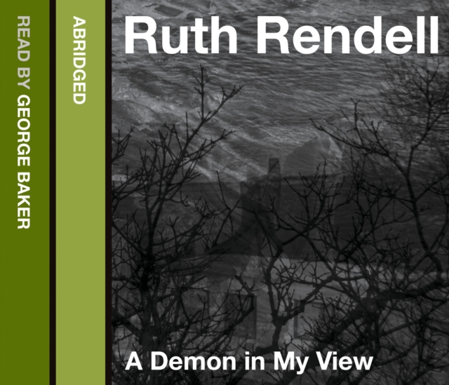 A Demon in My View, eAudiobook MP3 eaudioBook