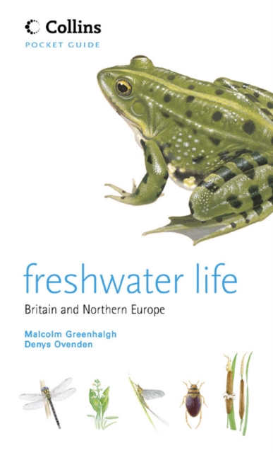 Freshwater Life, Paperback / softback Book