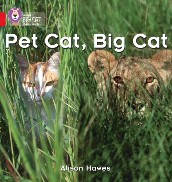 Pet Cat, Big Cat : Band 02a/Red a, Paperback / softback Book