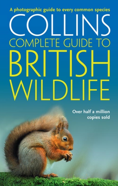 British Wildlife : A Photographic Guide to Every Common Species, Paperback / softback Book