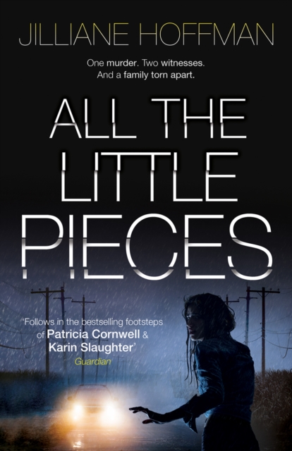 All the Little Pieces, EPUB eBook
