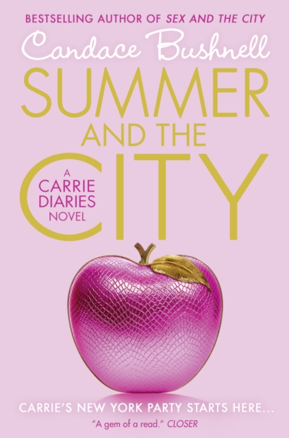 Summer and the City, Paperback / softback Book