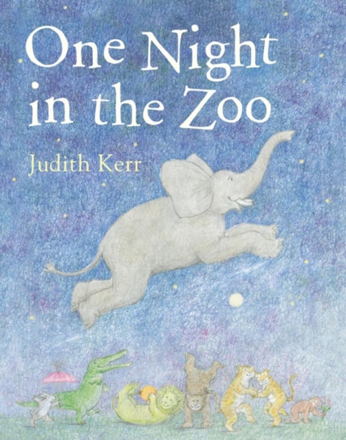 One Night in the Zoo, Paperback / softback Book