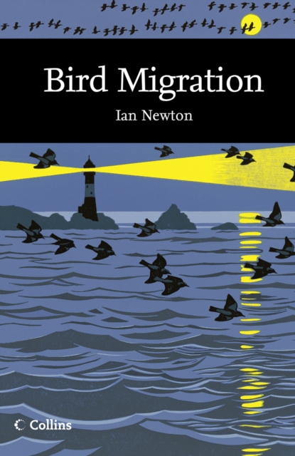 Bird Migration, EPUB eBook
