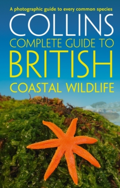 British Coastal Wildlife, Paperback / softback Book