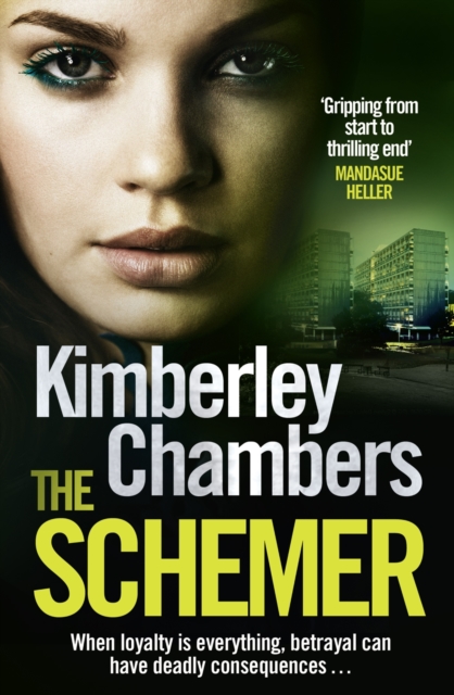 The Schemer, Paperback / softback Book