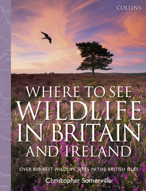 Collins Where to See Wildlife in Britain and Ireland : Over 800 Best Wildlife Sites in the British Isles, EPUB eBook