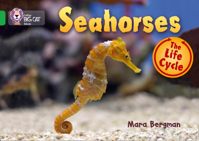 Seahorses : Band 05/Green, Paperback / softback Book