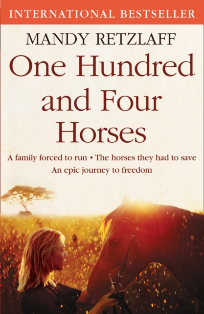 One Hundred and Four Horses, Paperback / softback Book