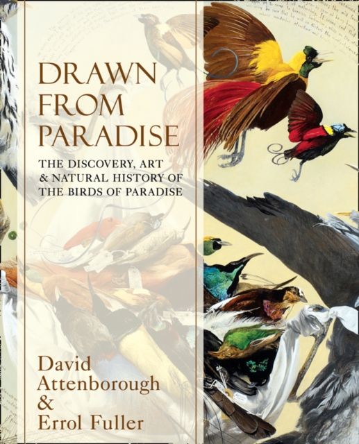 Drawn From Paradise : The Discovery, Art and Natural History of the Birds of Paradise, EPUB eBook