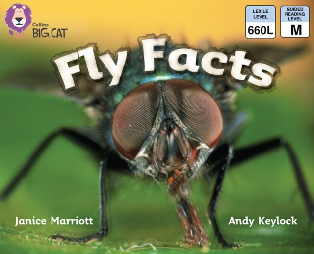 Fly Facts, EPUB eBook