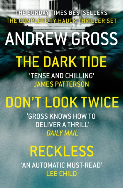 Andrew Gross 3-Book Thriller Collection 1 : The Dark Tide, Don't Look Twice, Relentless, EPUB eBook