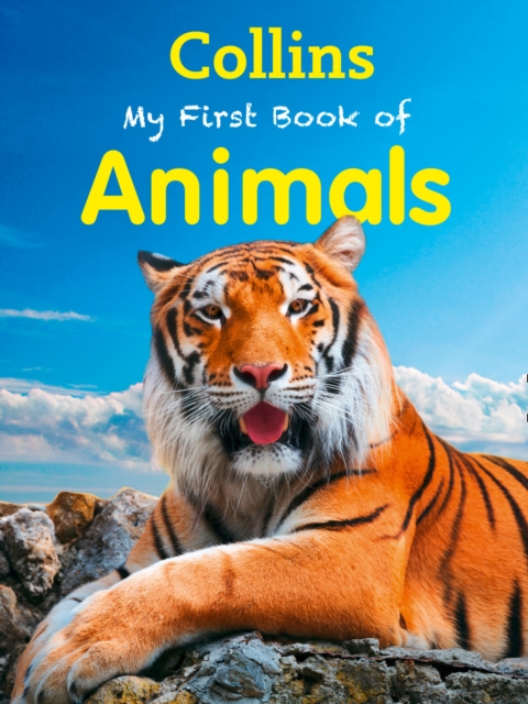 My First Book of Animals, Paperback Book