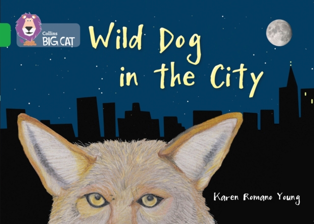 Wild Dog In The City : Band 05/Green, Paperback / softback Book