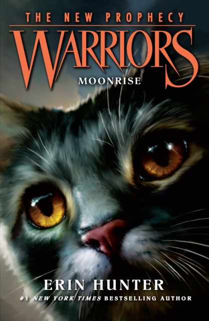 MOONRISE, EPUB eBook