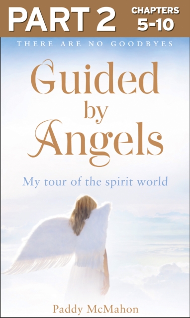 Guided By Angels: Part 2 of 3 : There Are No Goodbyes, My Tour of the Spirit World, EPUB eBook
