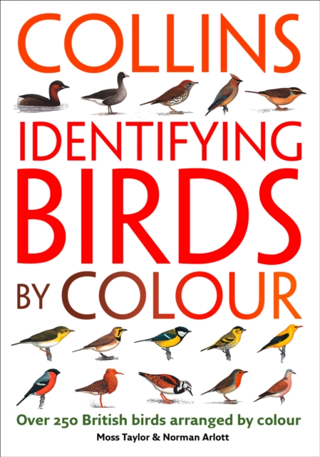 Identifying Birds by Colour, EPUB eBook