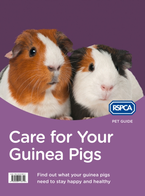 Care for Your Guinea Pigs, Paperback / softback Book