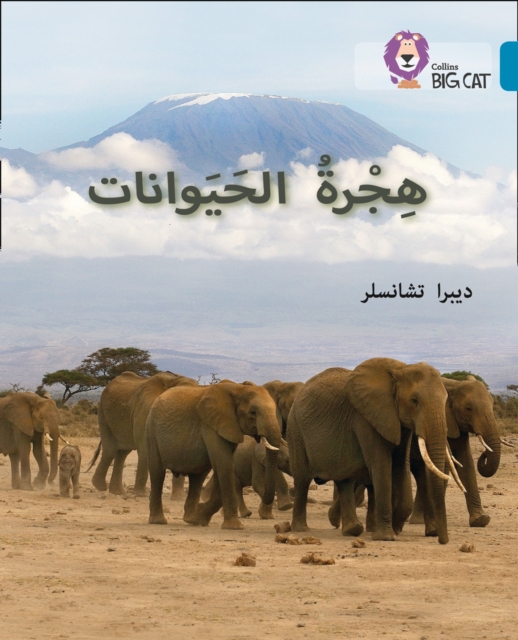 Animal Migration : Level 13, Paperback / softback Book
