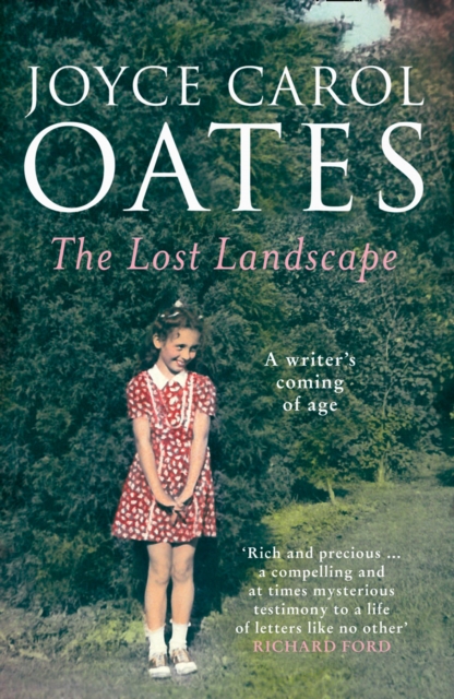 The Lost Landscape, Paperback / softback Book