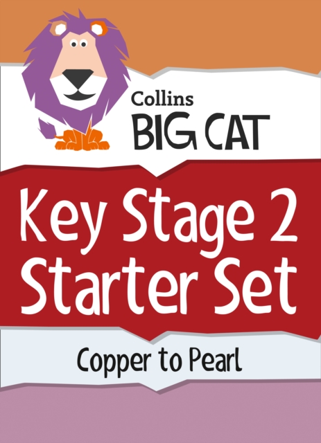 Key Stage 2 Starter Set, Electronic book text Book