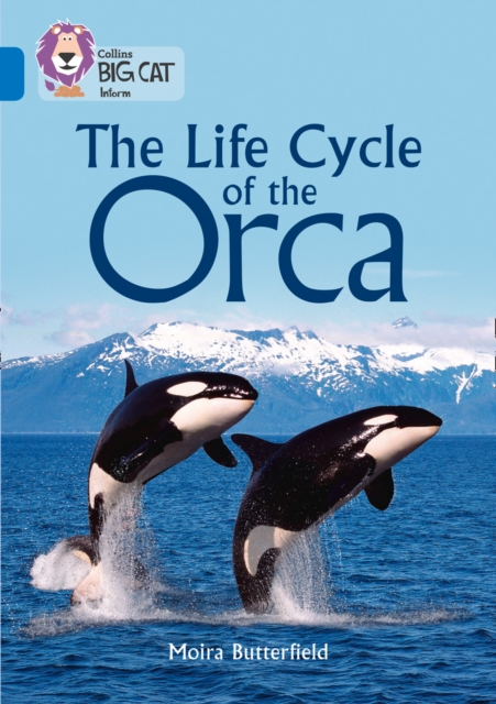 The Life Cycle of the Orca : Band 16/Sapphire, Paperback / softback Book
