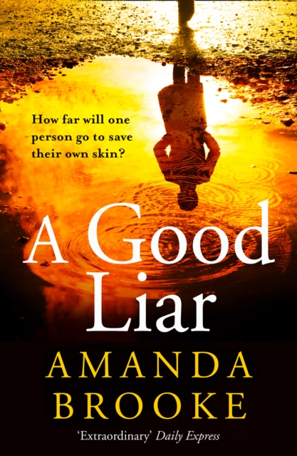 A Good Liar, Paperback / softback Book