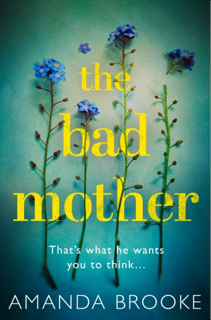 The Bad Mother, Paperback / softback Book