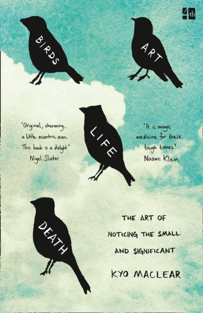 Birds Art Life Death : The Art of Noticing the Small and Significant, Paperback / softback Book