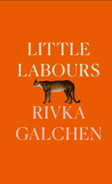 Little Labours, EPUB eBook
