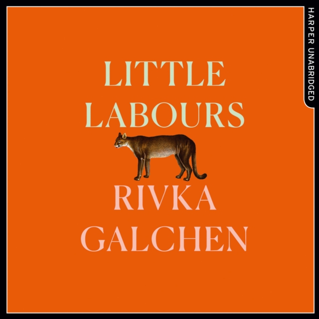 Little Labours, eAudiobook MP3 eaudioBook