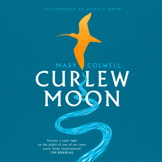 Curlew Moon, eAudiobook MP3 eaudioBook