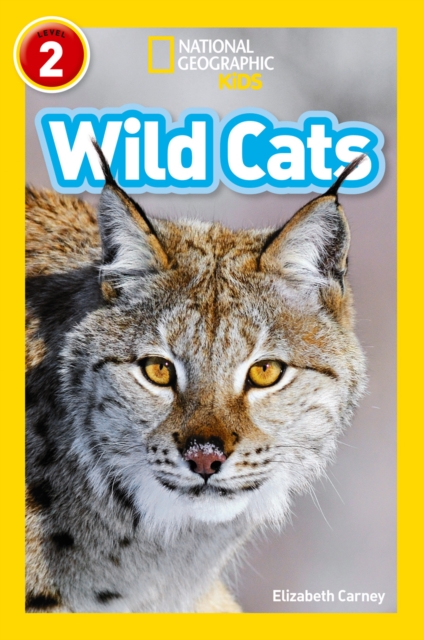 Wild Cats : Level 2, Paperback / softback Book