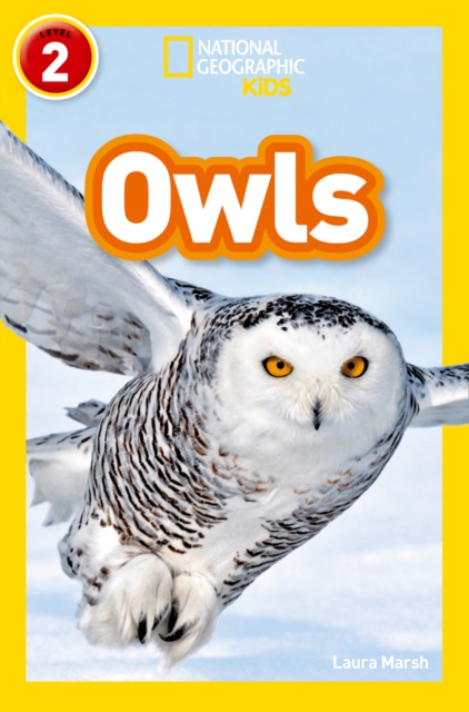 Owls : Level 2, Paperback / softback Book
