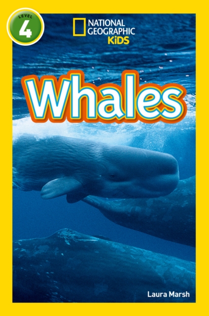 Whales : Level 4, Paperback / softback Book