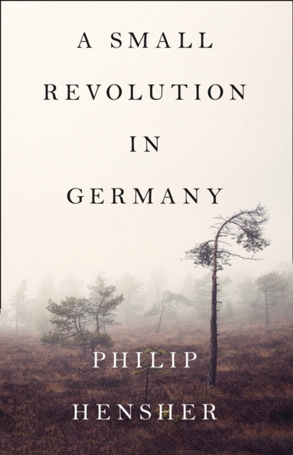 A Small Revolution in Germany, EPUB eBook